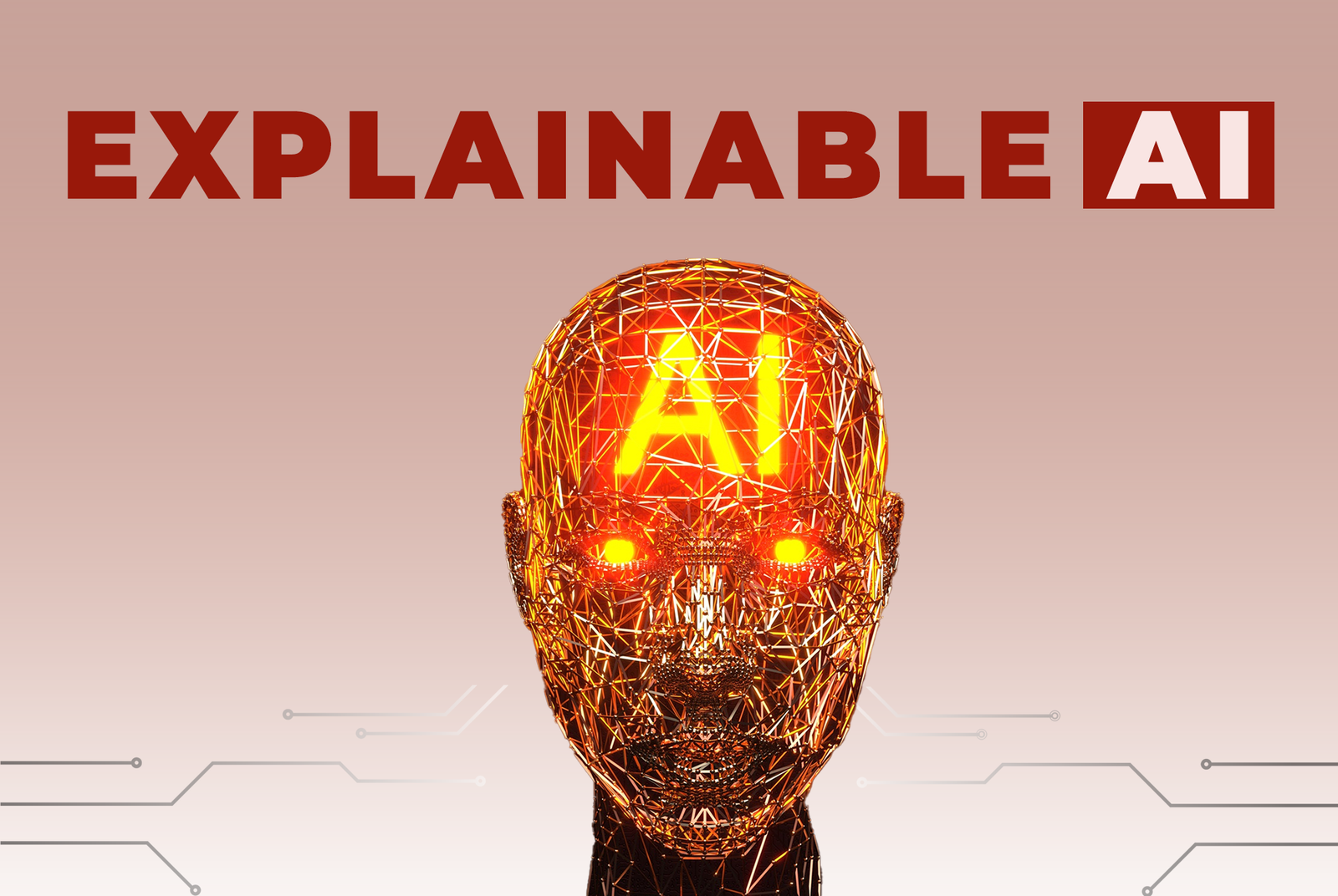 Explainable AI